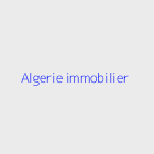 Agence immobiliere algerie immobilier